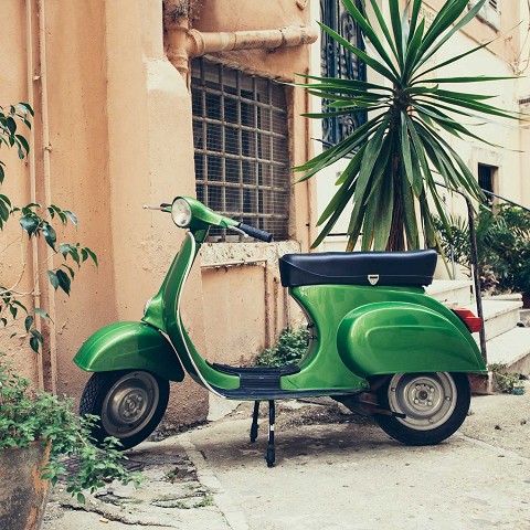Motori