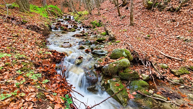 Scopri la Natura della Calabria