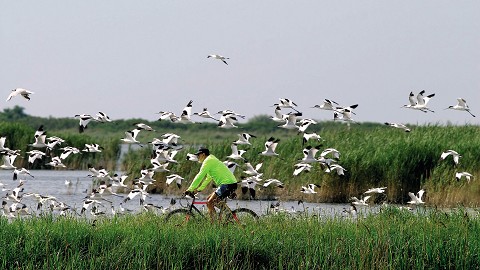 Scopri la Natura dell’Emilia Romagna