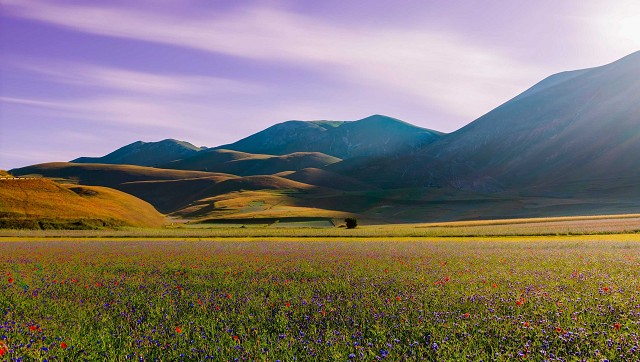 Scopri la Natura delle Marche