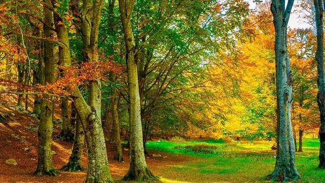 Scopri la Natura del Molise