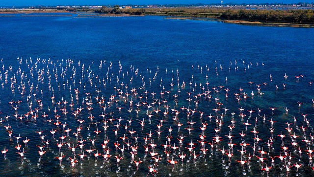 Scopri la Natura del Veneto