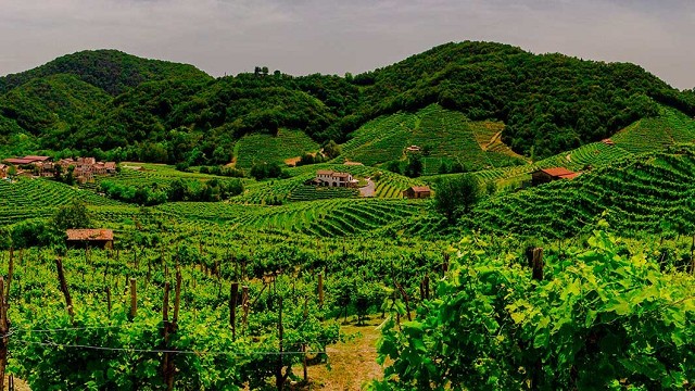 Escursioni in Veneto