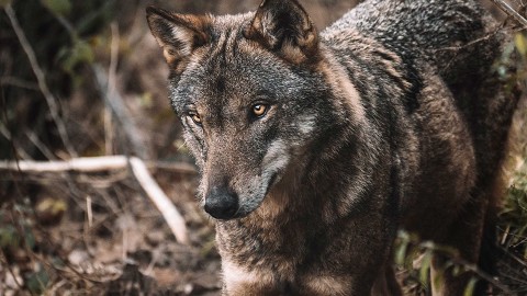 Scopri la Natura d’Abruzzo