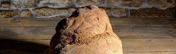Prodotti Tipici Basilicata DOP | Secondi Piatti Emiliani | Curiosità sul Trentino Alto Adige Piatti Tipici