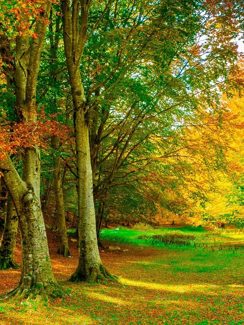Scopri la Natura del Molise