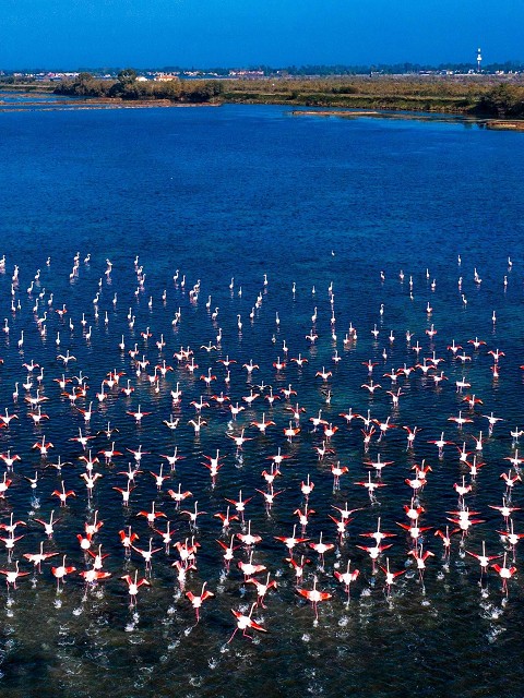 Parco del Delta del Po