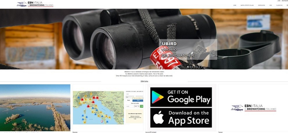 Ubird