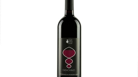Genovino