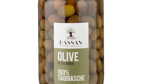 Olive in salamoia